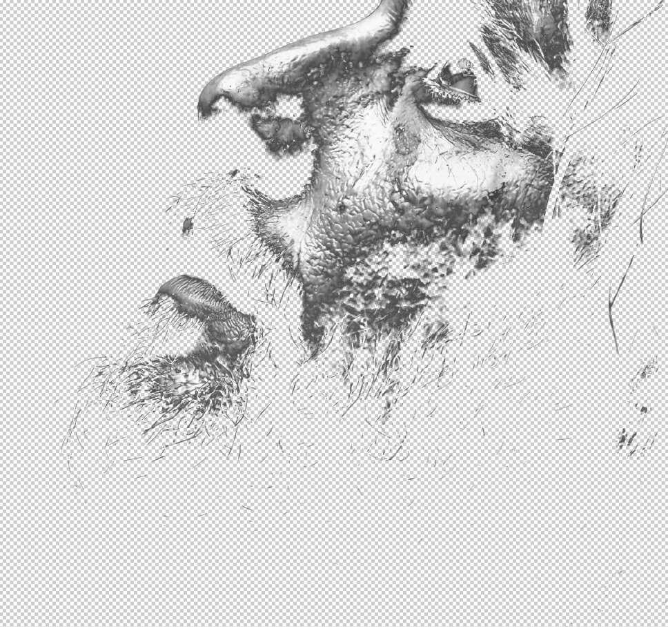 Before — transparent cutout film